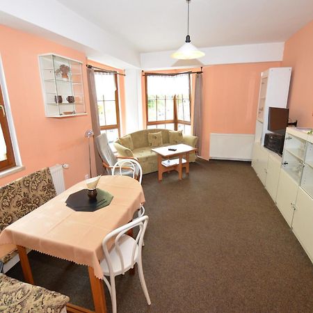Snug Apartment In Jachymov Near Ski Area Bagian luar foto